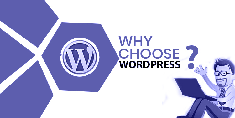 Why choose WordPress for your website?